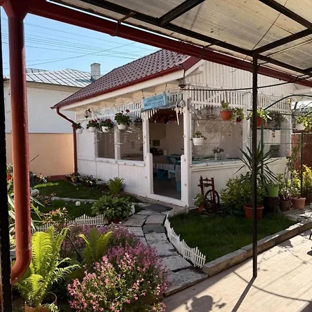 Casa Alexander Pensjonat Sulina